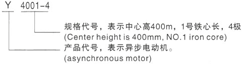 西安泰富西玛Y系列(H355-1000)高压YKK5604-12/500KW三相异步电机型号说明